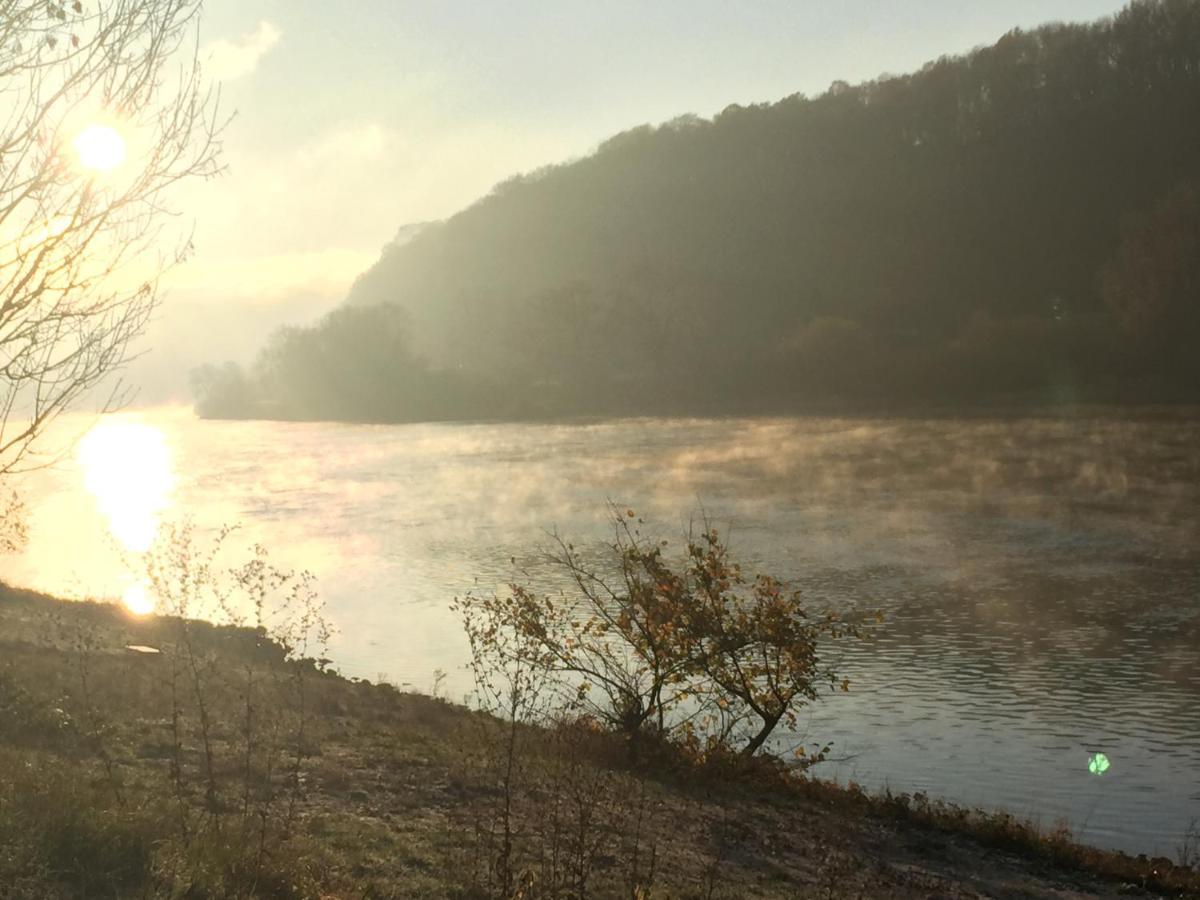 Wanderer Paradies Pirna Eksteriør bilde